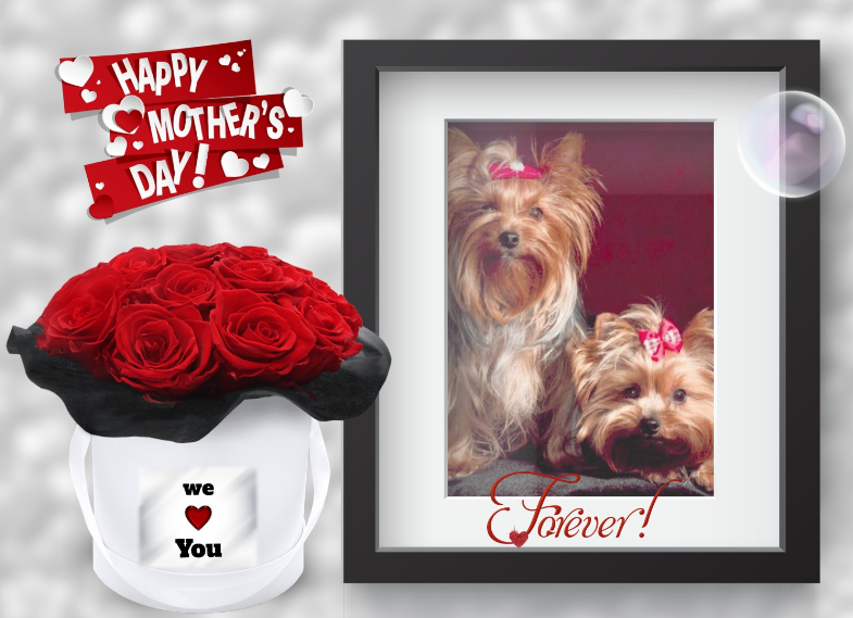 ( a 1 a PP Mom