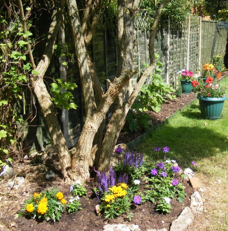 garden-rockery.jpg