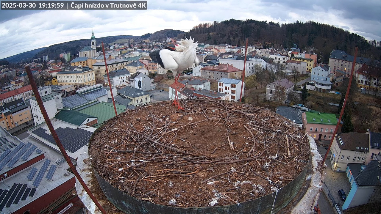 Tiešraidē no stārķa ligzdas uz alus darītavas skursteņa Trutnovā 18-12-35 screenshot
