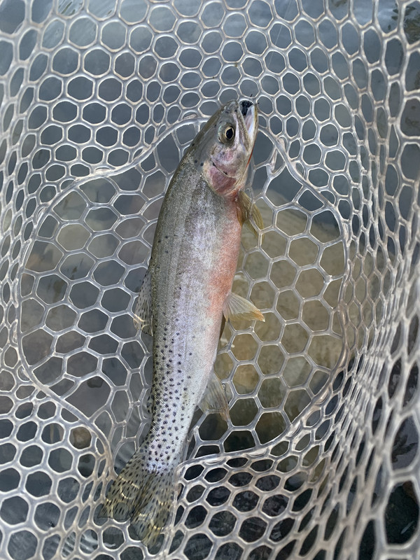 C5EEE3EF-55B9-4A0A-83AC-BF4BA5CDC325