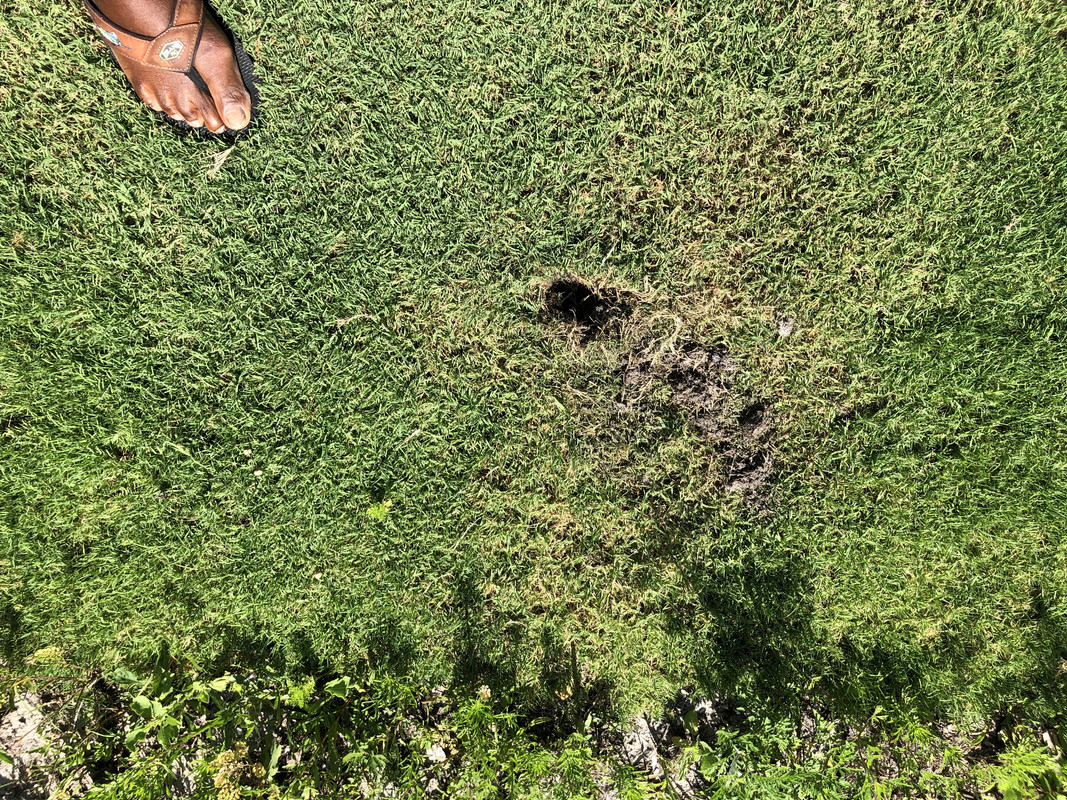 75E86602-CAB8-4DFC-8974-C49F9439A20B