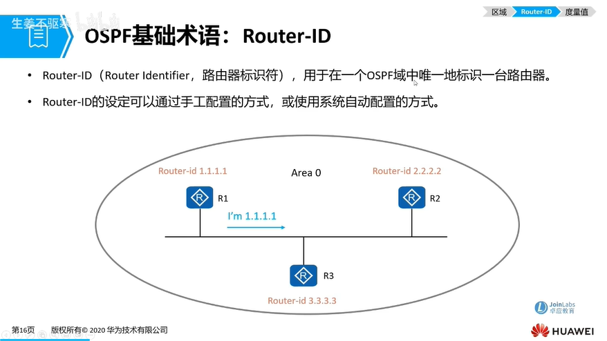 e15_Router_ID路由标识符.png