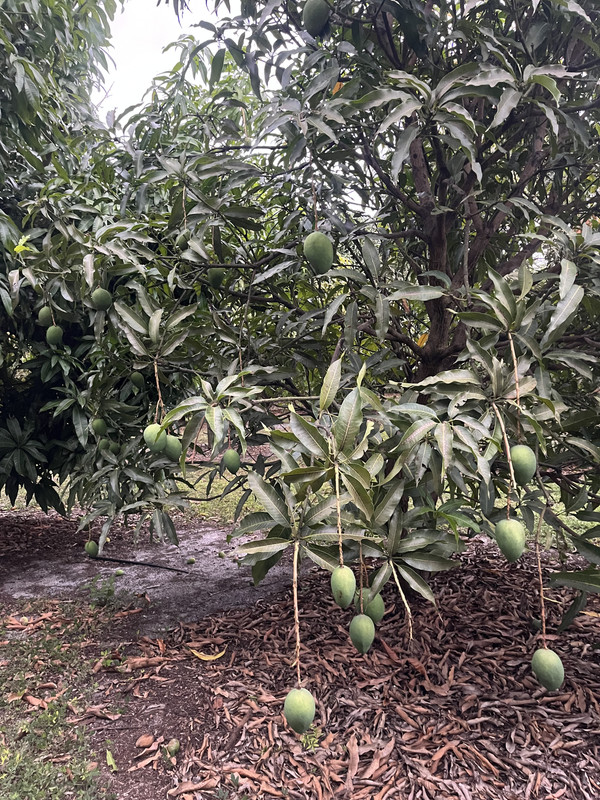 FF12A9D9-227D-42EE-A99E-8BF44475130F