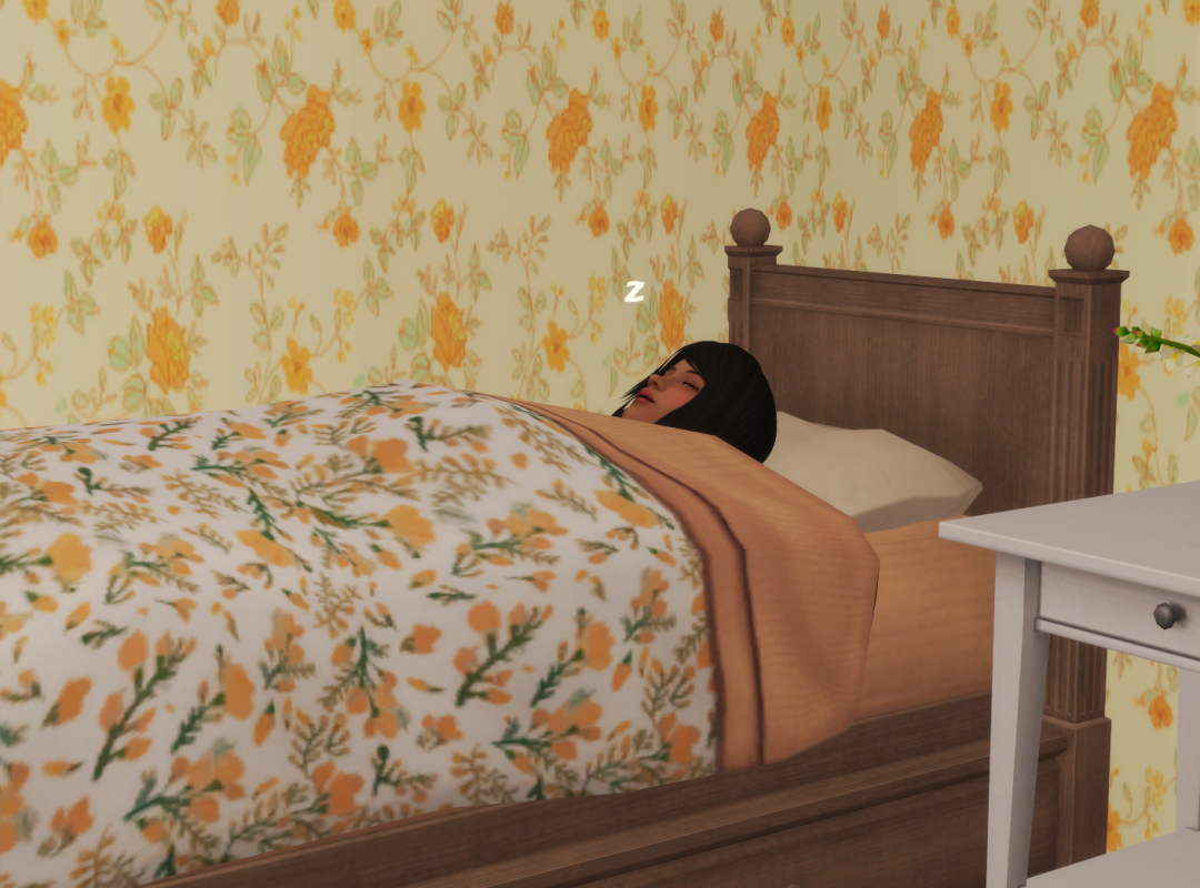 Sims2-EP9-RPC-2024-09-29-21-19-00-53