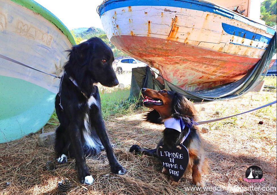 [Image: IMG-20210724-WA0001.jpg]