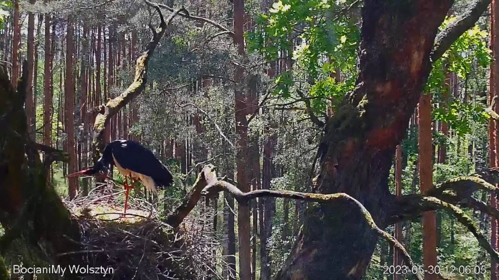 Zrzut ekranu (15887)