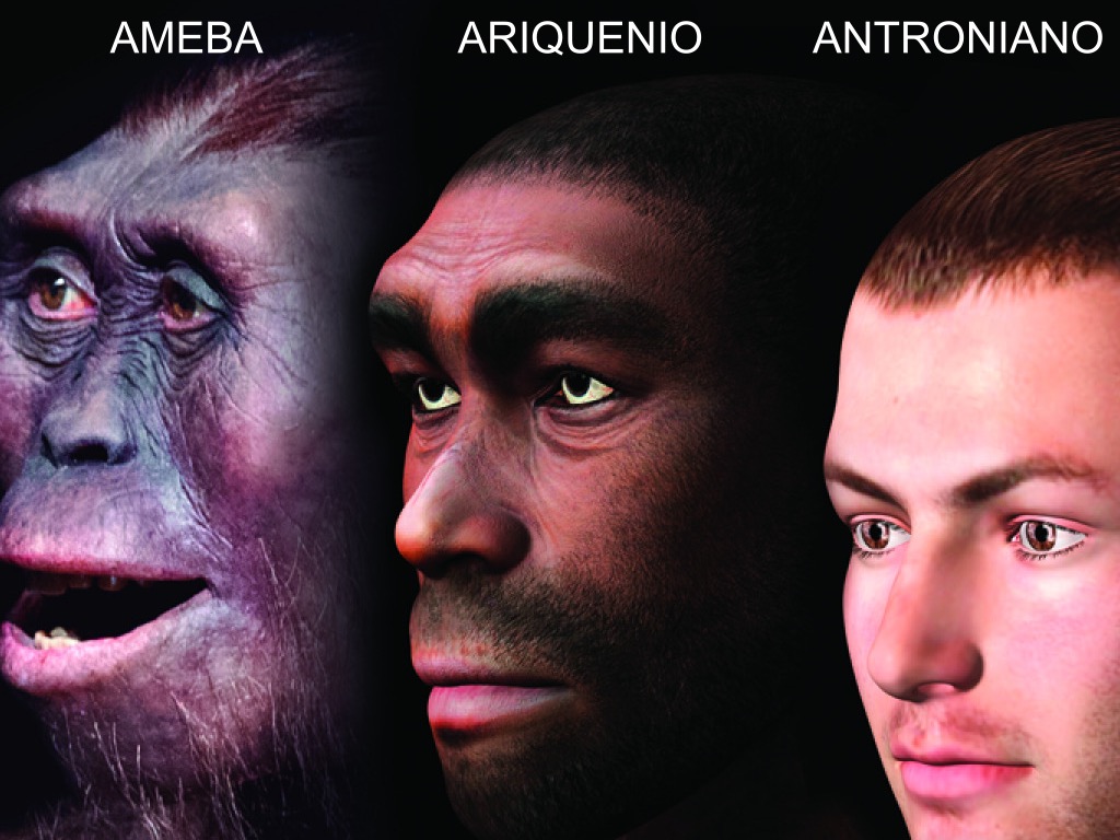 EVOLUCION-ANTRO.jpg