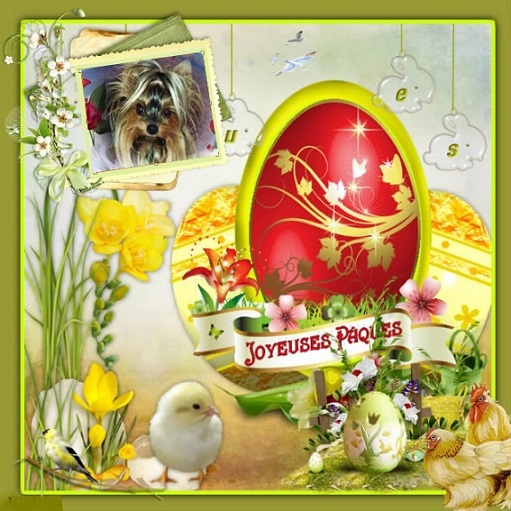 pixiz 19 04 2025 21 32 25