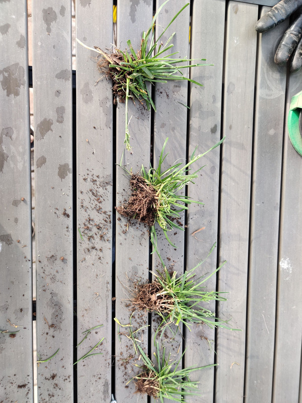 IMG_20200507_180733 (1)