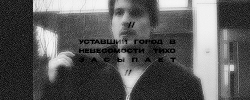 https://i.postimg.cc/Nf44hV55/3.gif