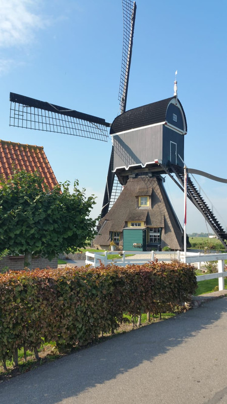 Pieter, Bonrepasmolen 05 Vlist 06-10-2018