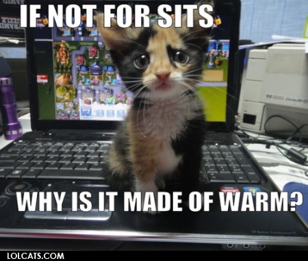 made-of-warm.jpg