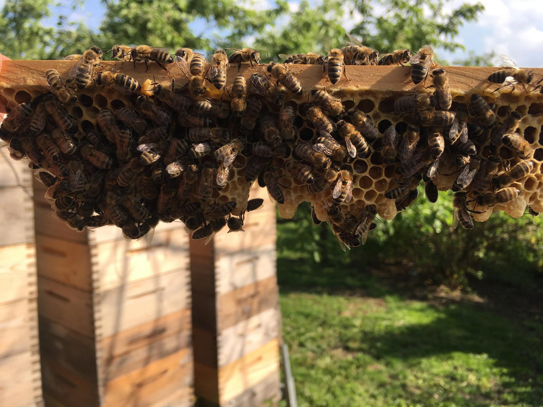 9D75707A-F5F8-4816-8B3B-76BD145195BD