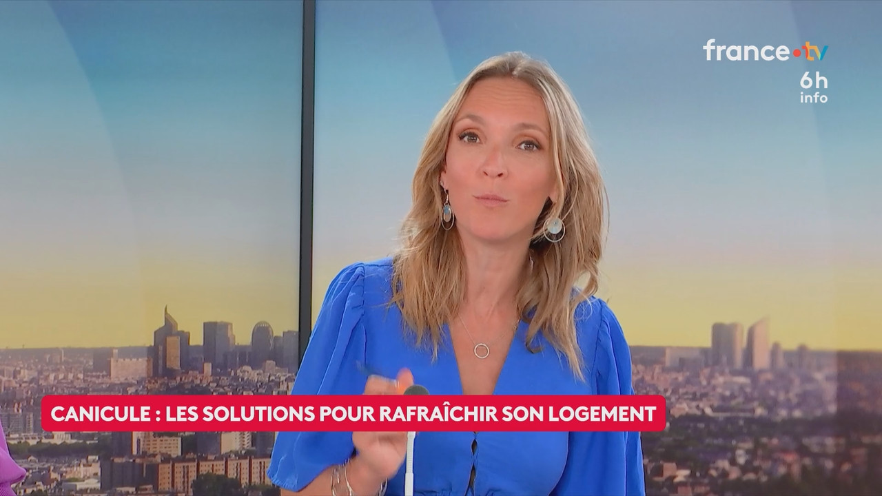 Le 6h info (France 2) 2026 06 20 04 55 67 ts snapshot 22 10 402