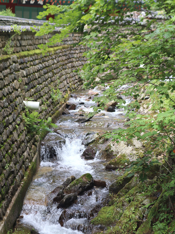 IMG-3230