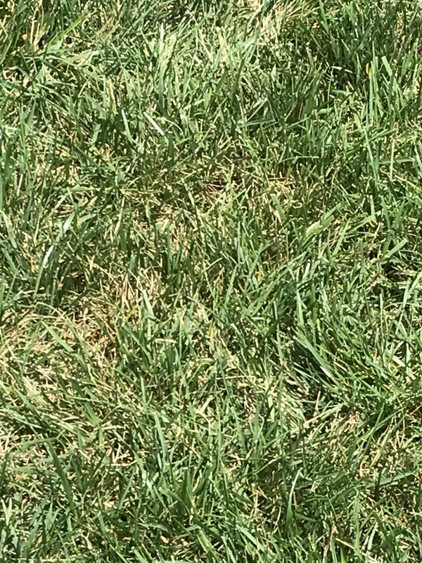 56C89BDC-3A72-46C5-9781-40B06CFB6156