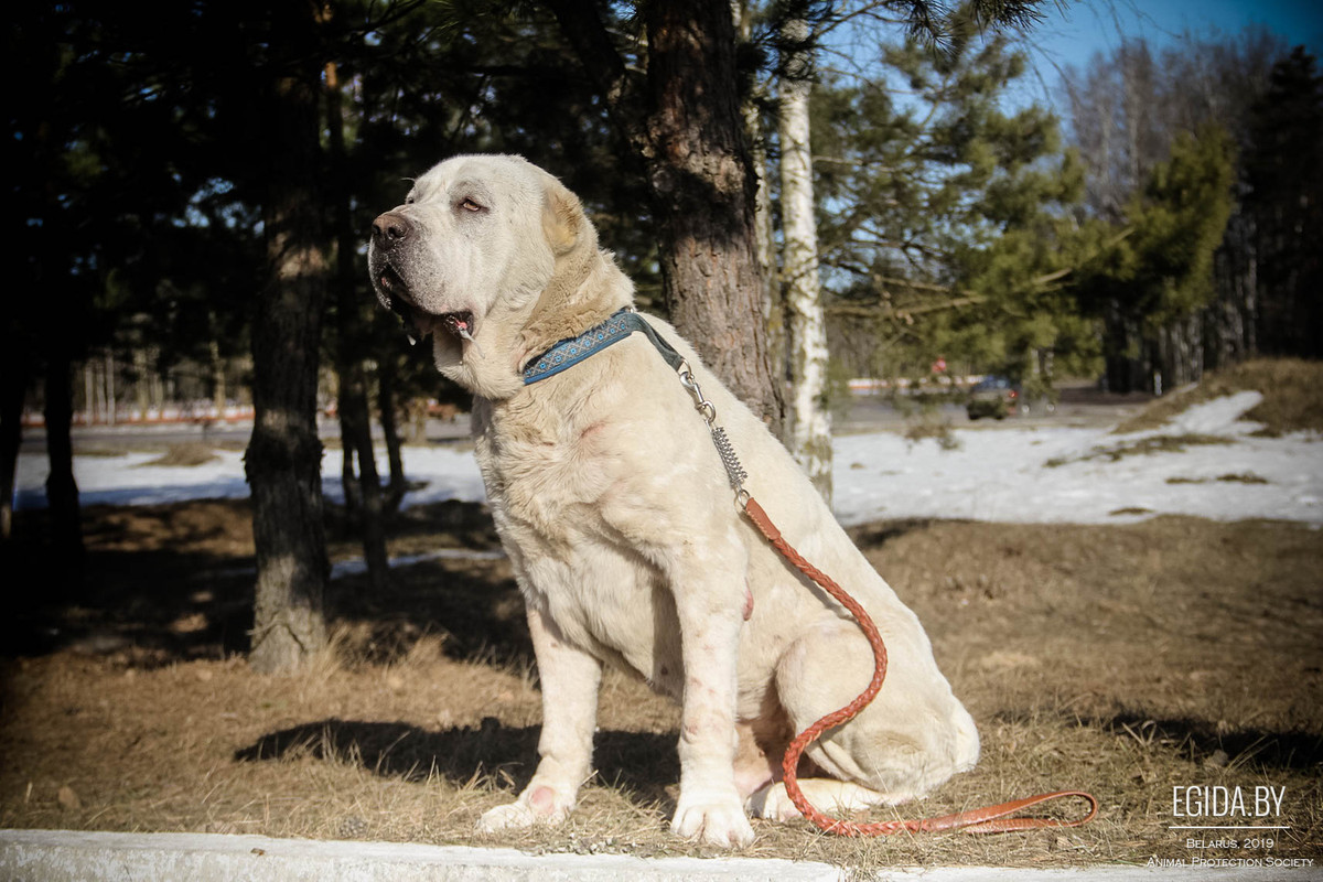 C7B0308B-5F7C-4EE4-A7B7-68009BCEA721