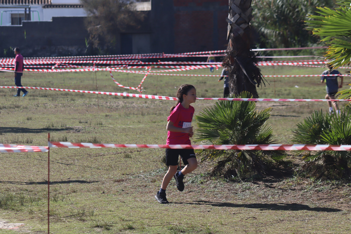 IMG-0509