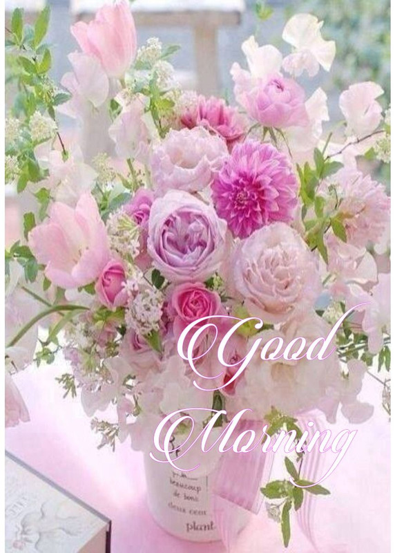 37babdb909cb2d9f4145fb3956379abc