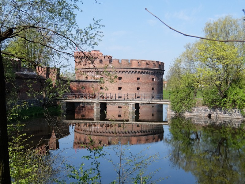 DSCF4891