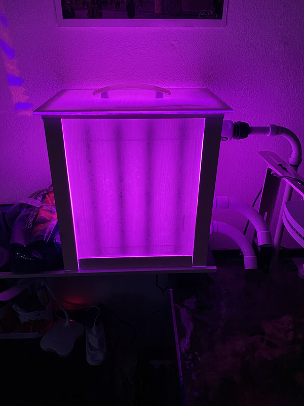 13CDD813-1D0E-423A-883E-685FE382E777