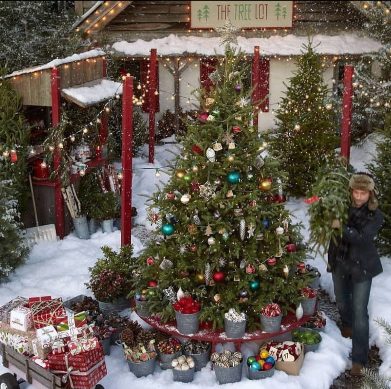 Screenshot_20231115_230554_Instagram