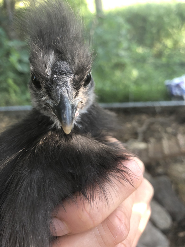 CA13C9AA-7F86-4FEC-A845-D399BEB6A4CD