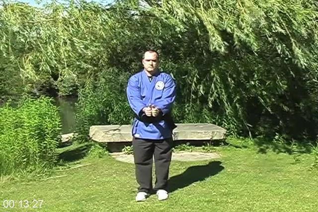 [Image: G-PSpirit-Tao-Michael-Denney-Qi-Gong-Cel...Kung-L.jpg]