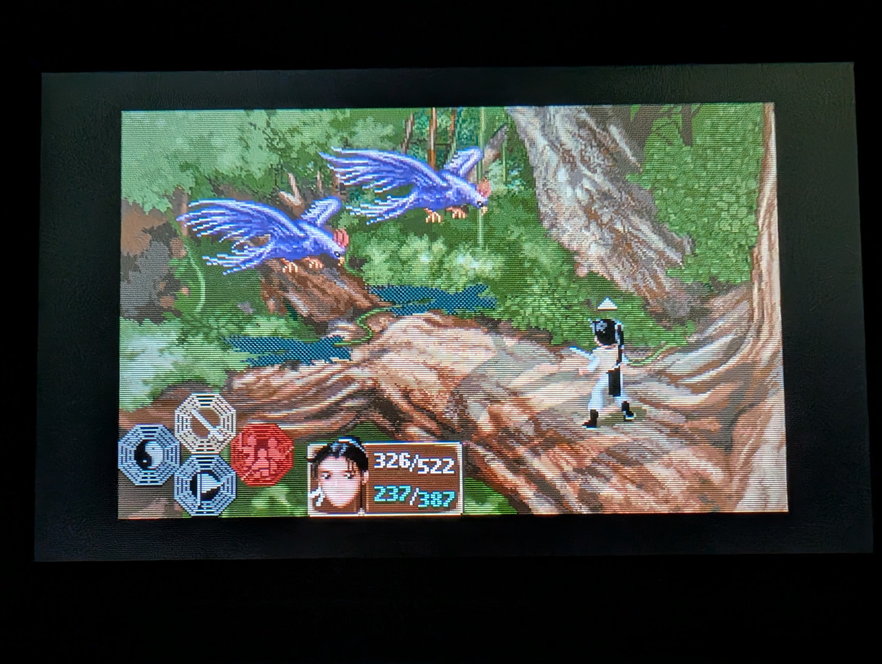 PXL 20260126 210908099 MP