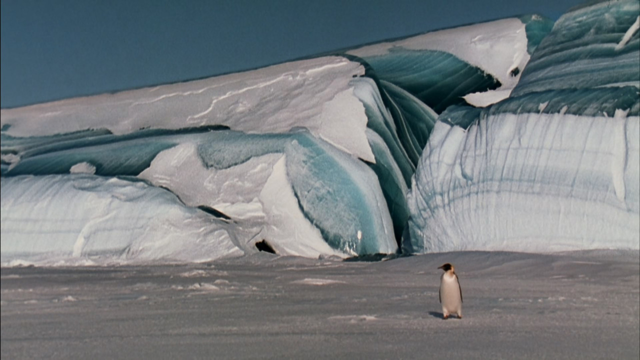 March of the Penguins (2005) (1080p BluRay x265 Silence)-2