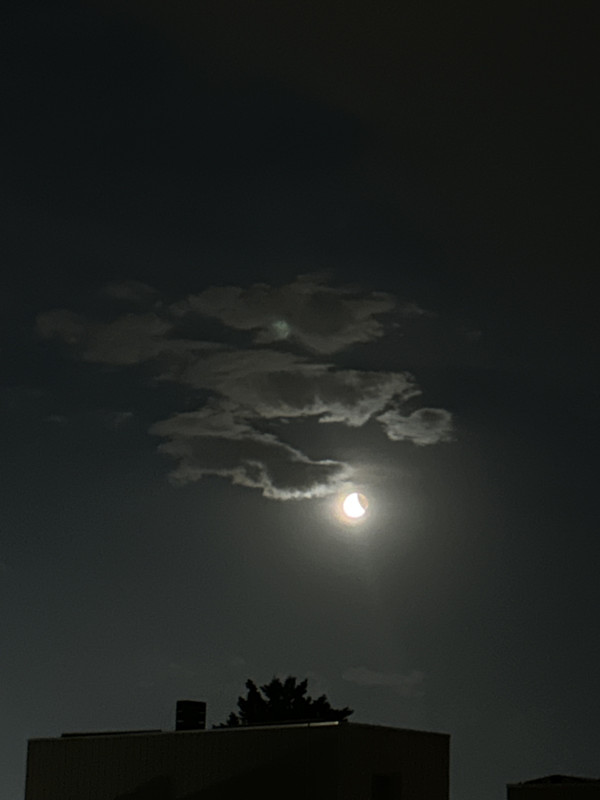 IMG-4433.jpg