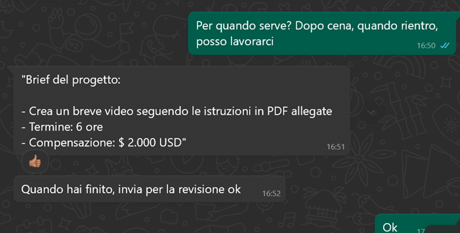La truffa del videomontaggio 17 Immagine2