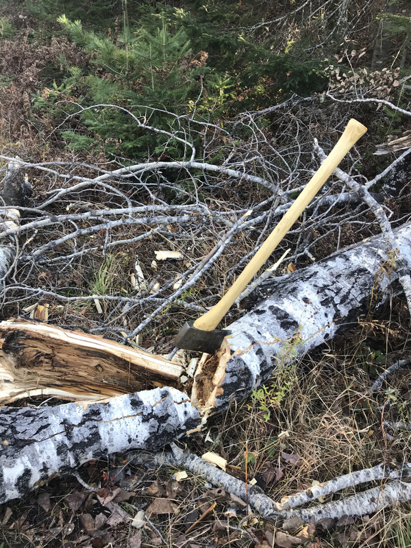 C1DEE52A-6FAD-4D6F-AAE0-A44CC86C67AB