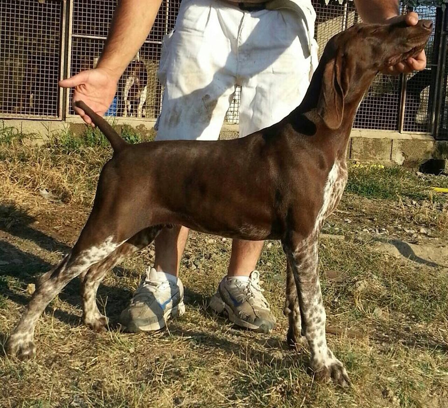 86c01cb1-5f17-4b27-8c27-e9d439ebb17c