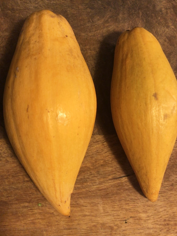 9417EF46-C5D9-4F8C-9873-65253415E3C8