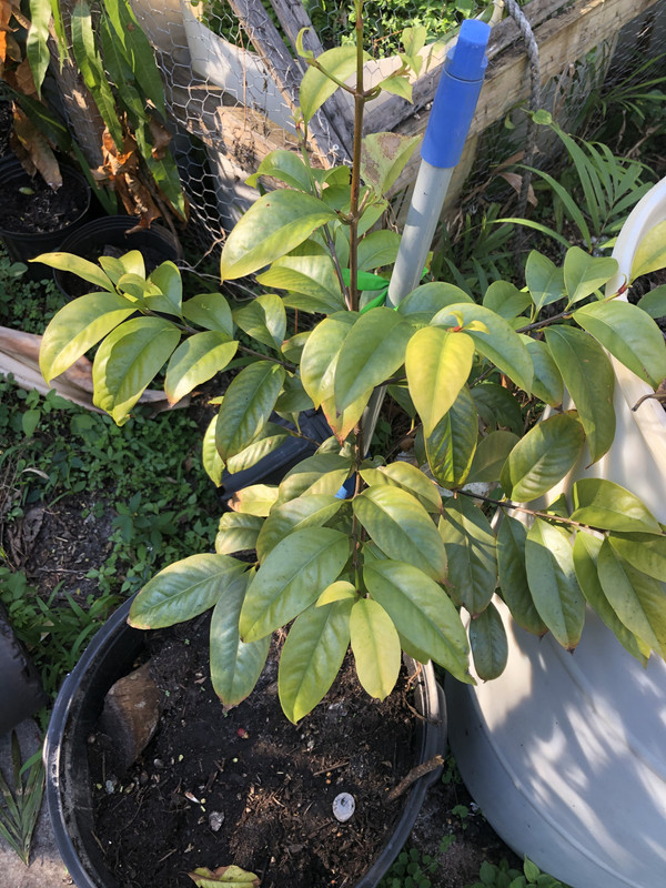 54D88D28-6B02-4590-8188-D64D21039968