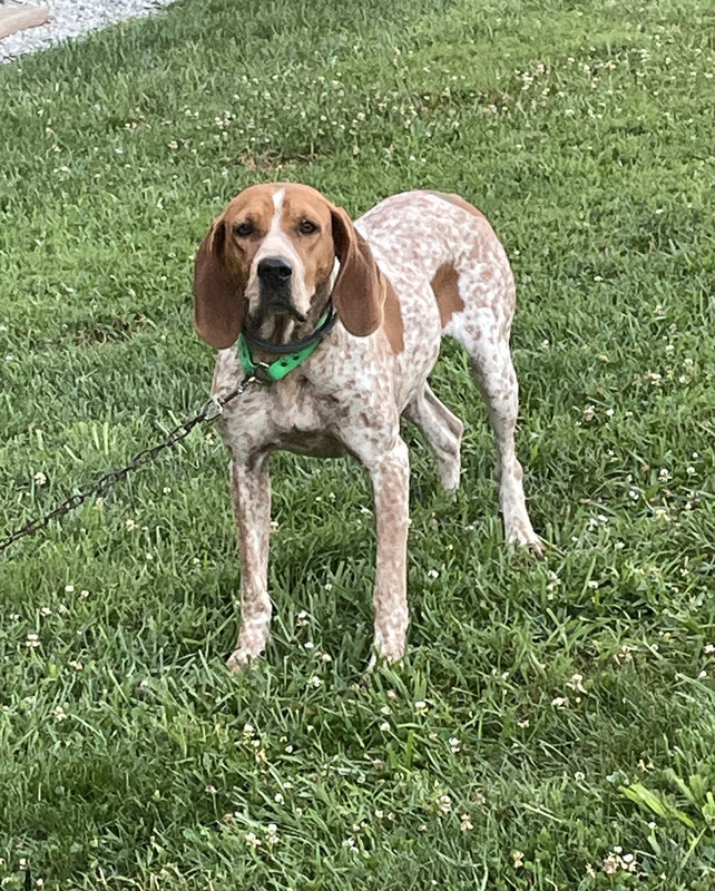 EF74417D-7A79-4A28-AC8C-B37971A8FE3D