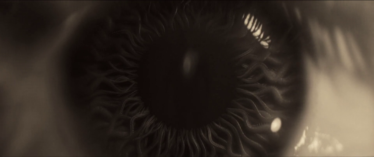 300mbunited.me--00002