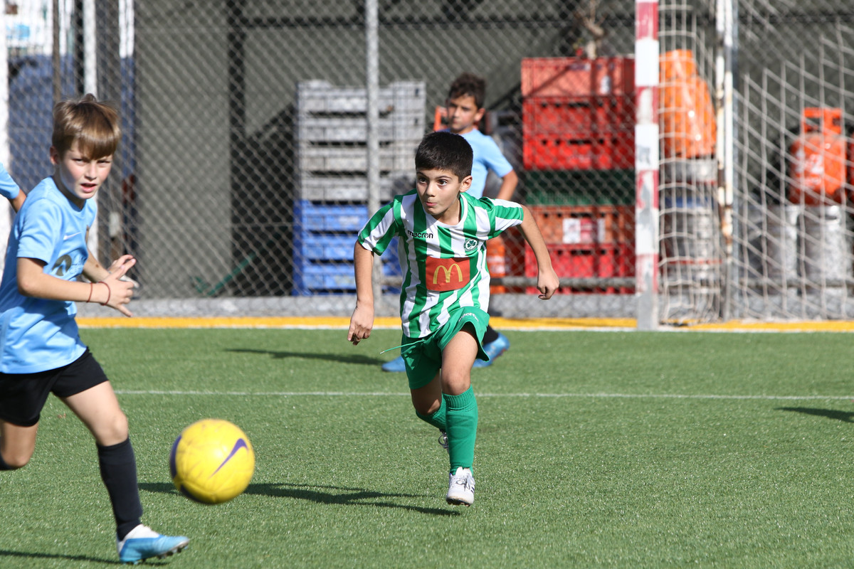 VIK_0281