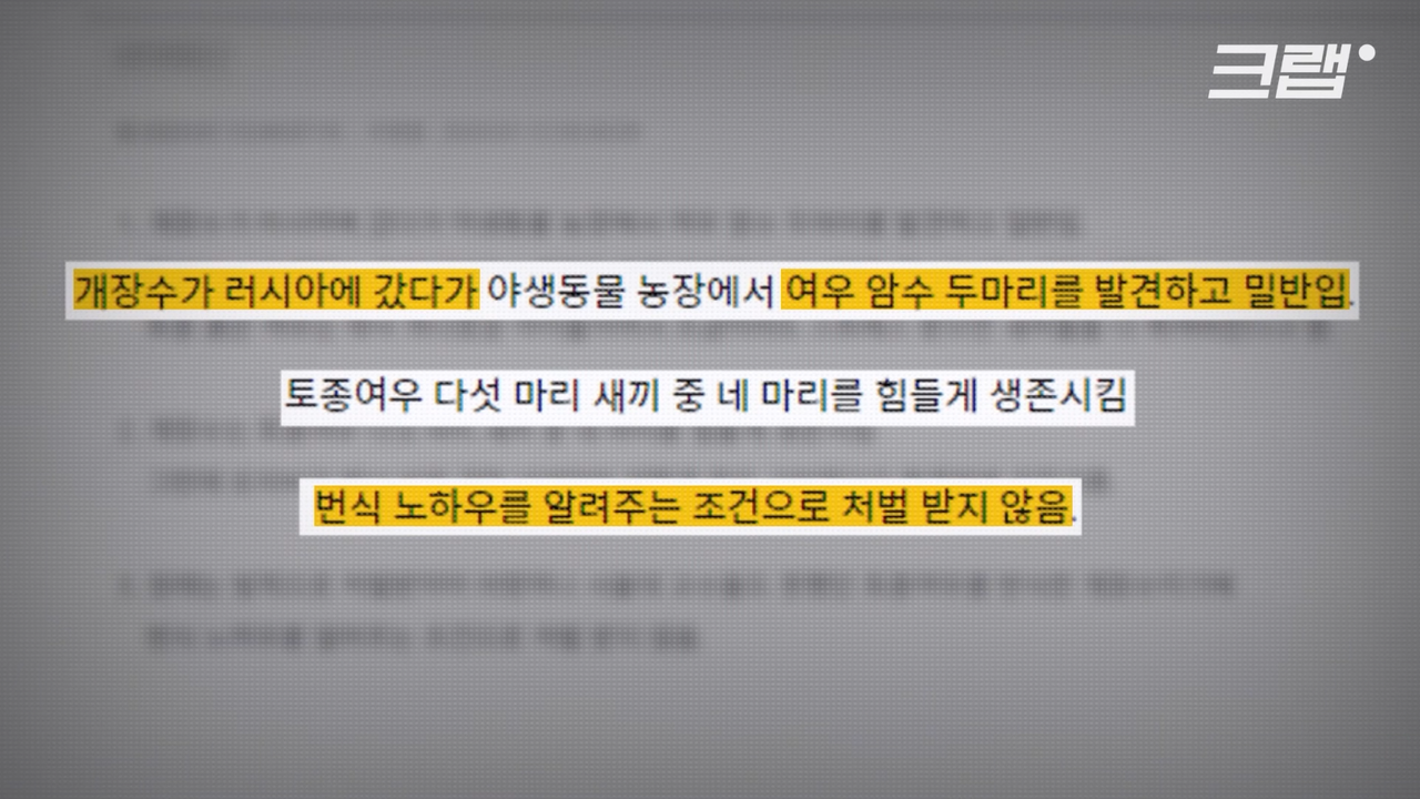 전격 해명_ 대부분 잘못 알고 있다는 토종 여우 복원 스토리｜크랩 4-5 screenshot