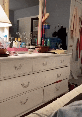 daily-gifdump-3344-09.gif