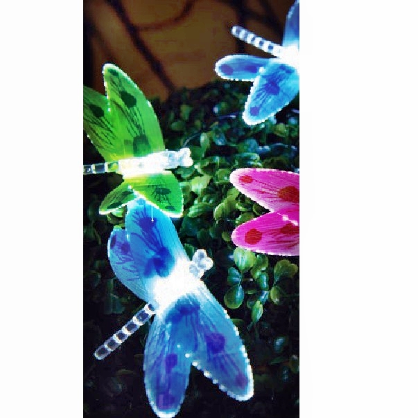 Solar String Light : 81064