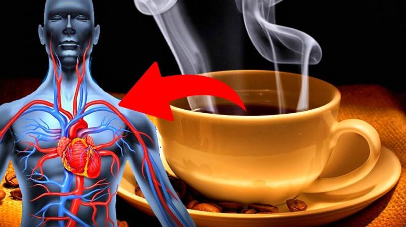 Quanto dura l’effetto del caffè nel corpo?