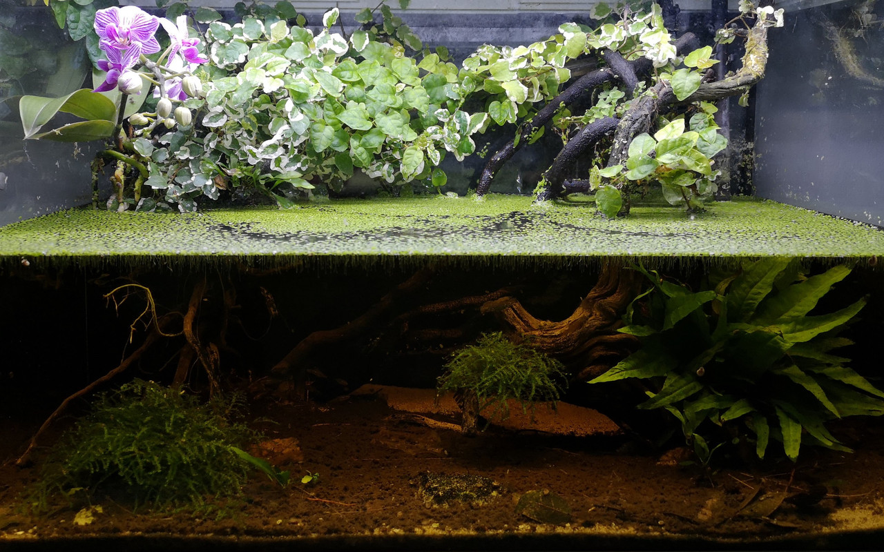 IMG_20200116_183701 (2)