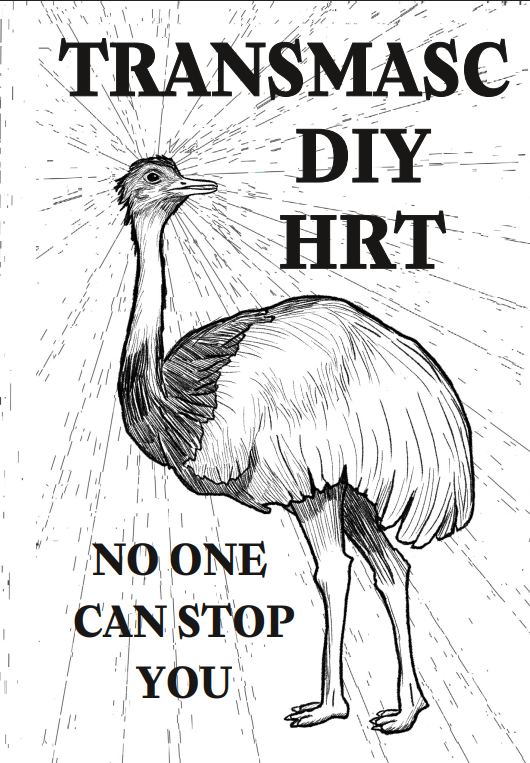 Zine cover. Features an ostrich surrounded by beams of light, reading Transmasc DIY HRT. No one can stop you.