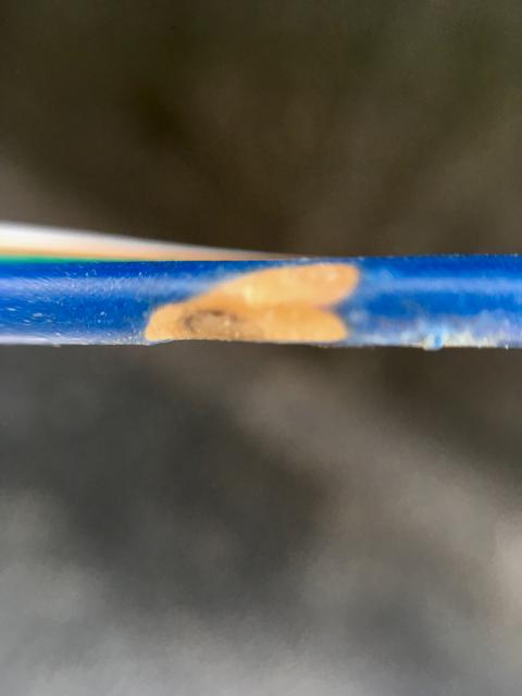 316D2D71-7B84-4F61-90EB-724F53B66D6A