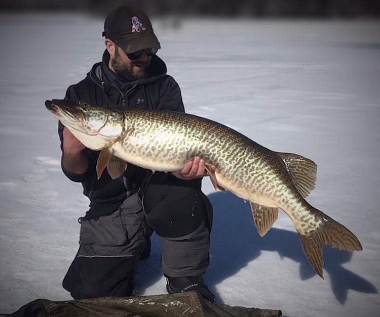 55C49F4C-9CD8-48BA-8039-769460EC86F7