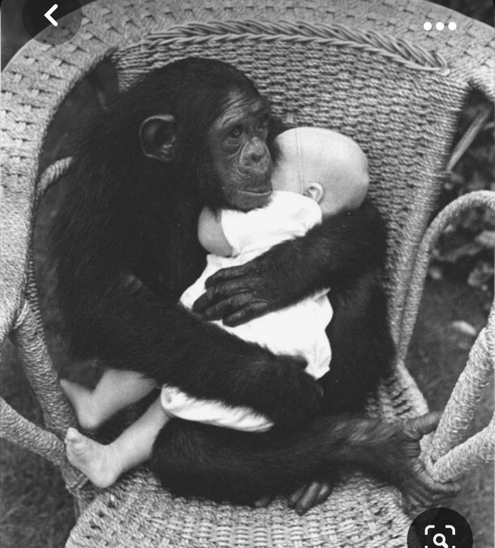 Screenshot_20231030_202926_Pinterest