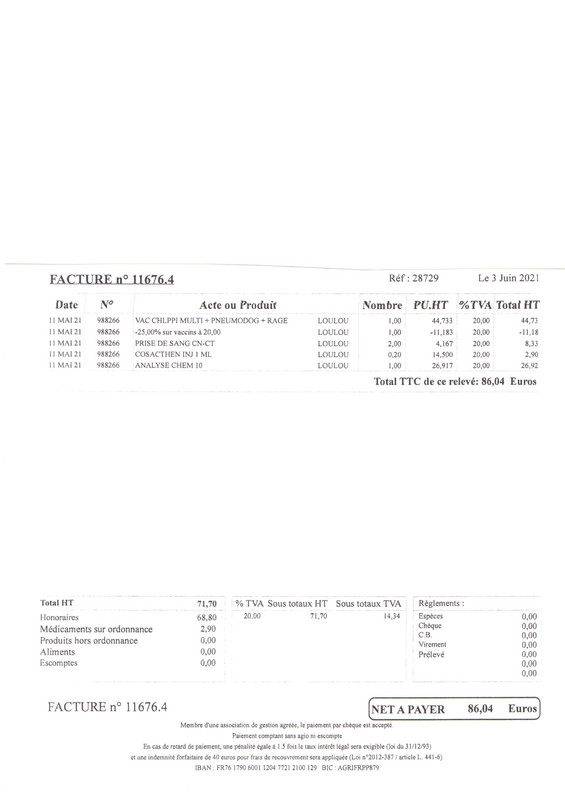 [Image: LOULOU20210606-16493129.jpg]