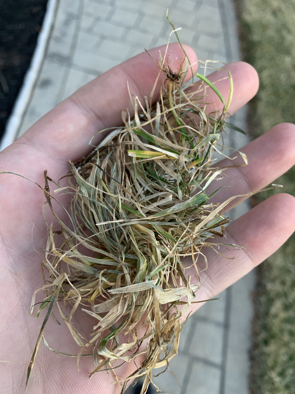 20128868-1473-41E5-893D-EC1593A1A37A